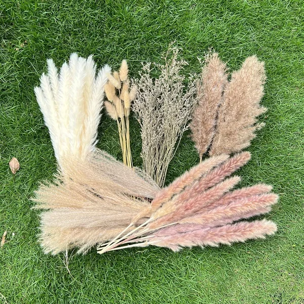 100Pcs Pampas Grass Boho Home Decor 17 Inch Natural Dried Flowers-Pampas Grass
