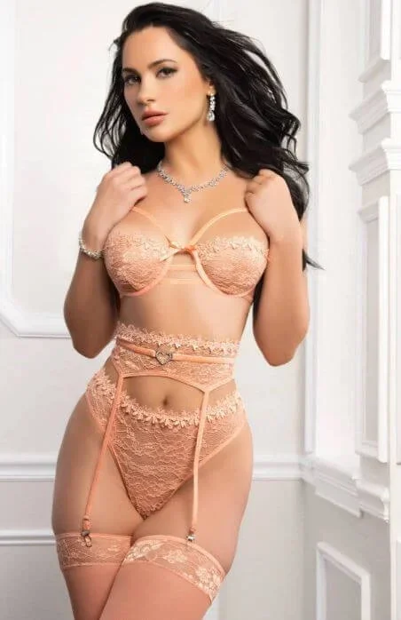 4PC Peach Fuzz High-Waisted Bra & Garter Belt Lingerie Set