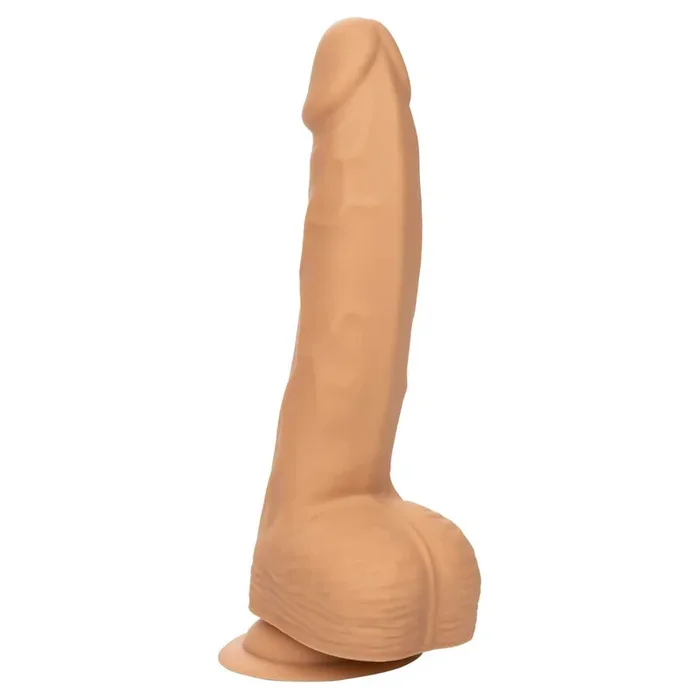 CalExotics Silicone Studs 8″ Dildo with Suction Cup