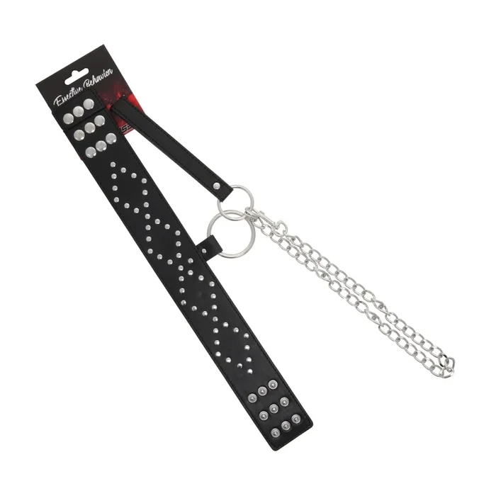 COLLAR BLACK CIRCLE RIVET W/LEASH