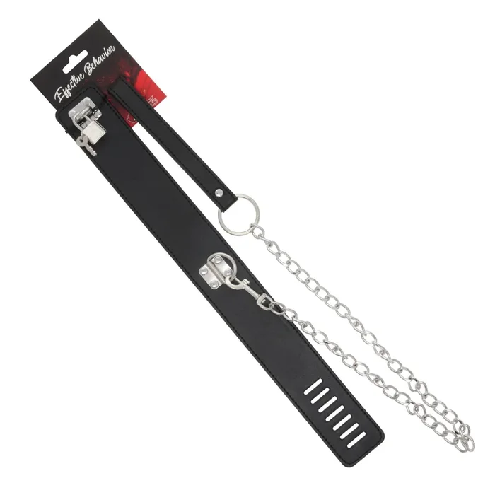 COLLAR W/LOCK AND LEASH