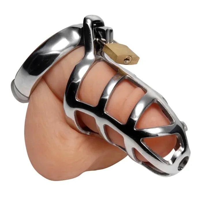 Detained Stainless Steel Chastity Cage