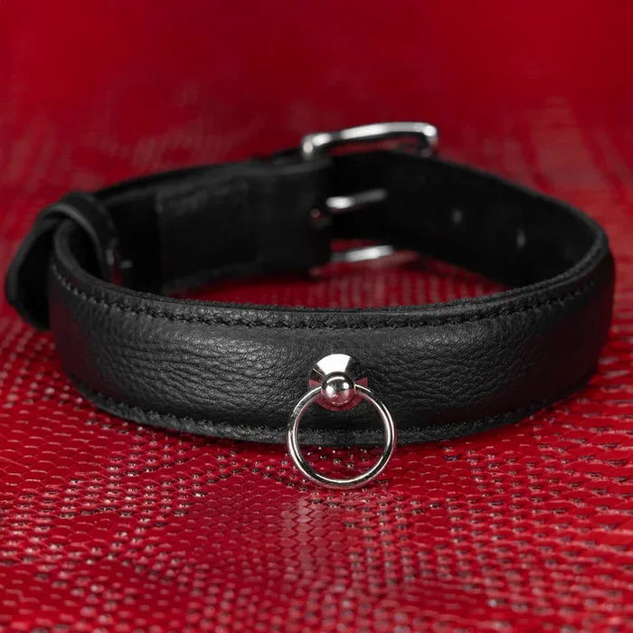 Elegant Premium Leather Collar by Kink