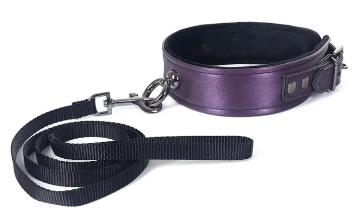 Galaxy Legend Collar and Leash Purple from Spartacus