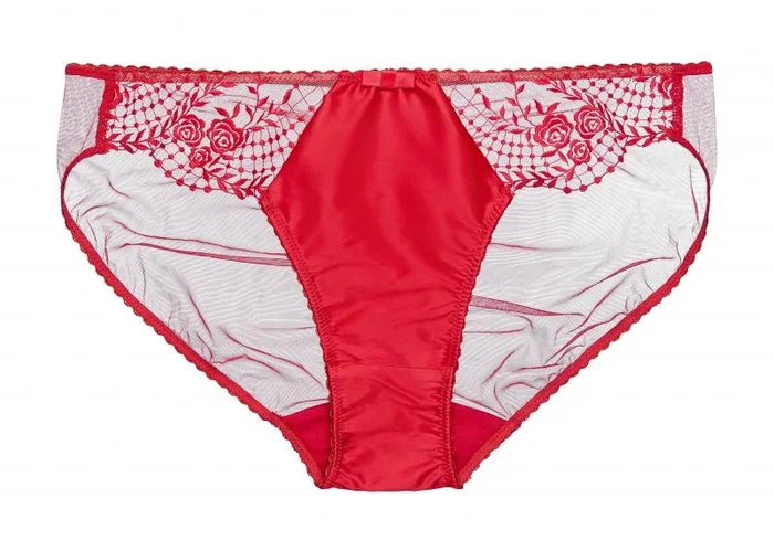 Julie’s Roses Bikini – Red –