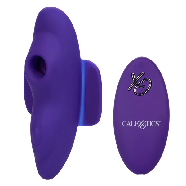 Lock-N-Play Remote Suction Panty Teaser – Purple