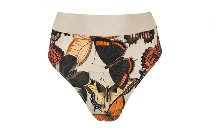 Modal Lounge Brief – Moths & Butterflies –