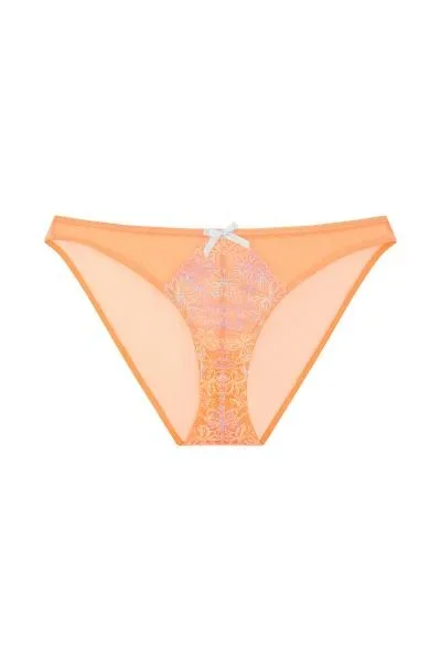 Naomi Floral Embroidered Brief – Orange –