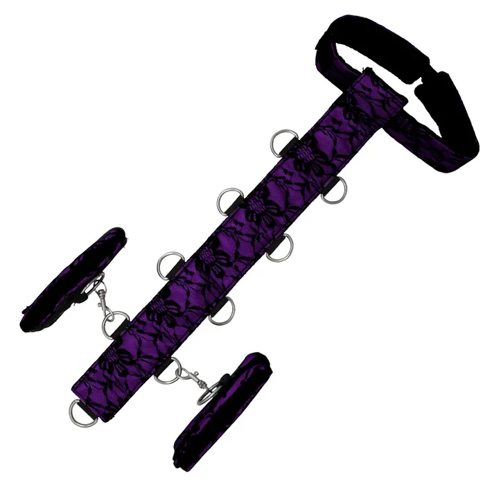 Neck and Wrist Body Restraint – Purple