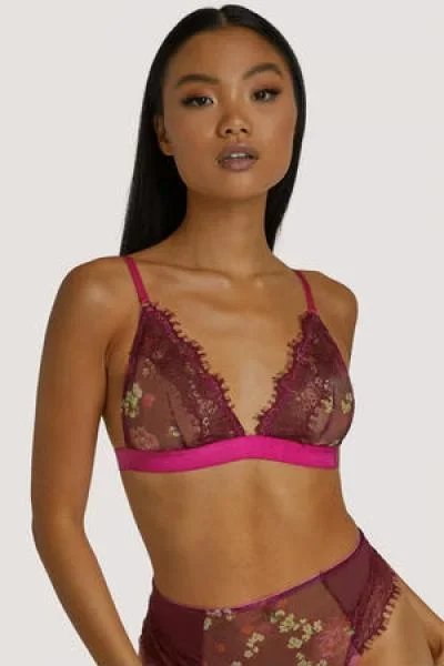 Neve Kimono Print Triangle Bra – Burgundy –