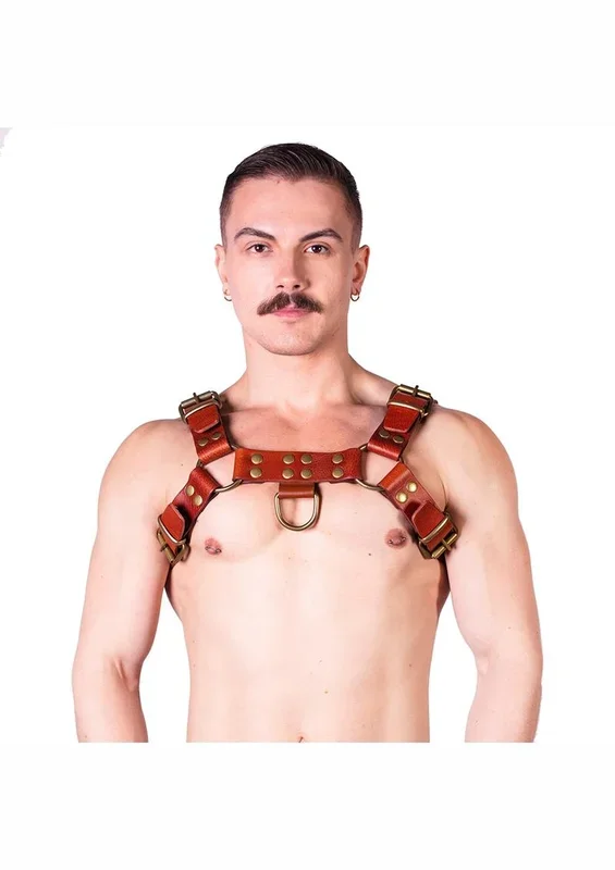 Prowler Red Butch Harness – XLarge – Brown/Brass