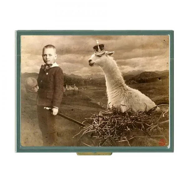 Wallet Case – Mcleggin and White Queen