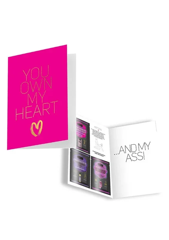 YOU OWN MY HEART Naughty Greeting Card
